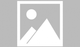 动漫主角,动漫主角的传奇征程